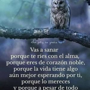 Meet your Posher, Clara